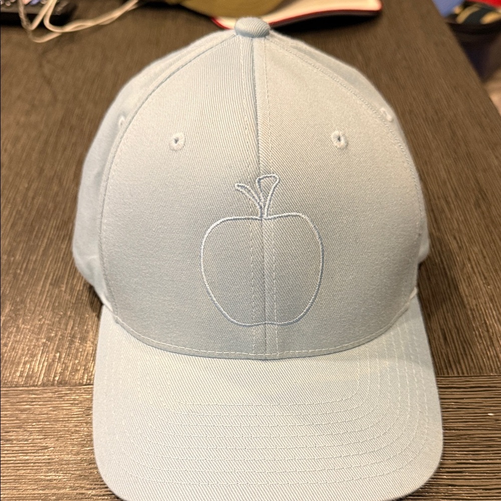 Light Blue Embroidered Apple Logo Cap